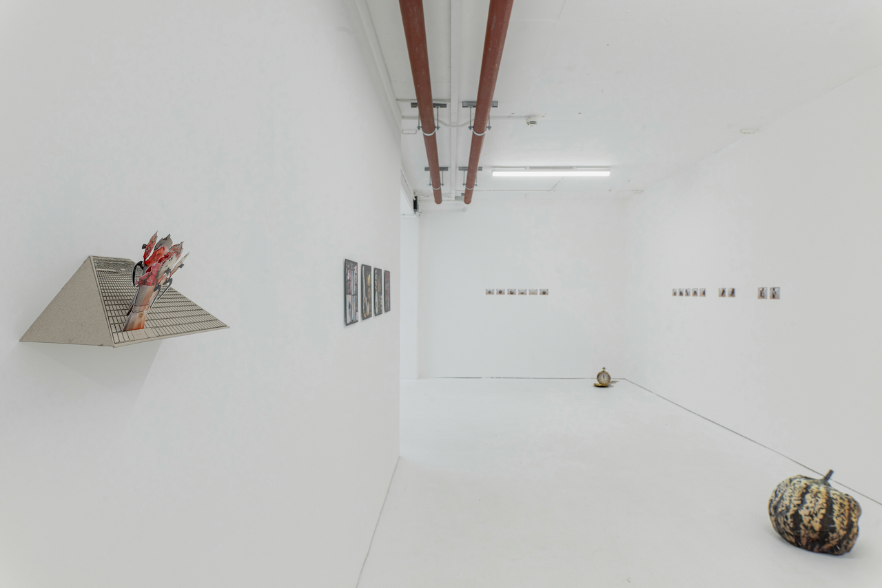 SCANITAS:lab documentation image 11